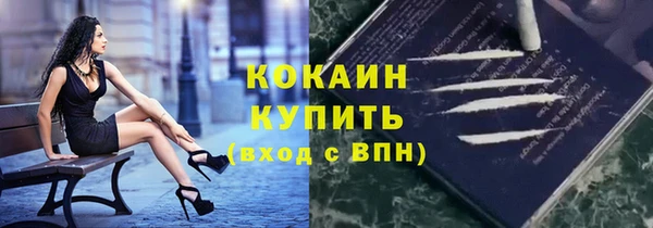 гашик Алексеевка
