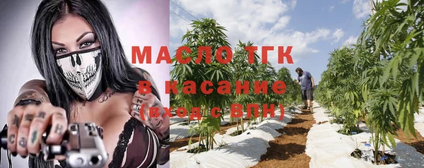 гашик Алексеевка