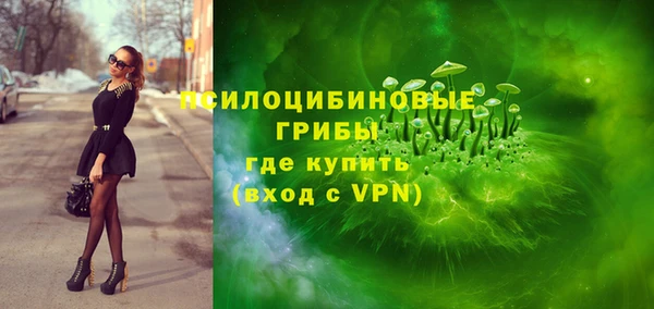 гашик Алексеевка