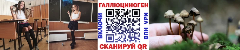 Псилоцибиновые грибы Cubensis  где купить наркоту  нарко площадка телеграм  Славск 