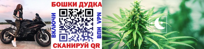 mega ONION  это официальный сайт  Славск  Шишки марихуана конопля  что такое  